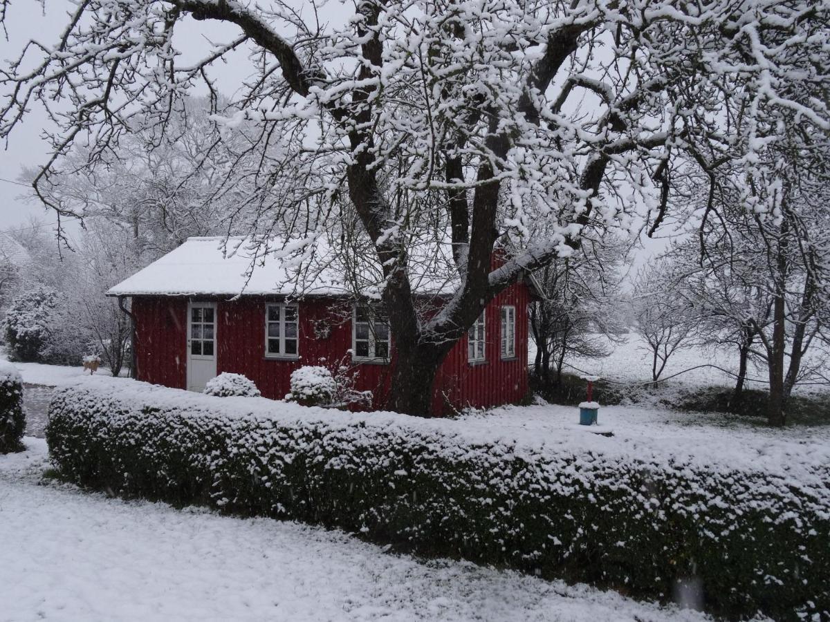 Hansenhof Kappeln Zewnętrze zdjęcie